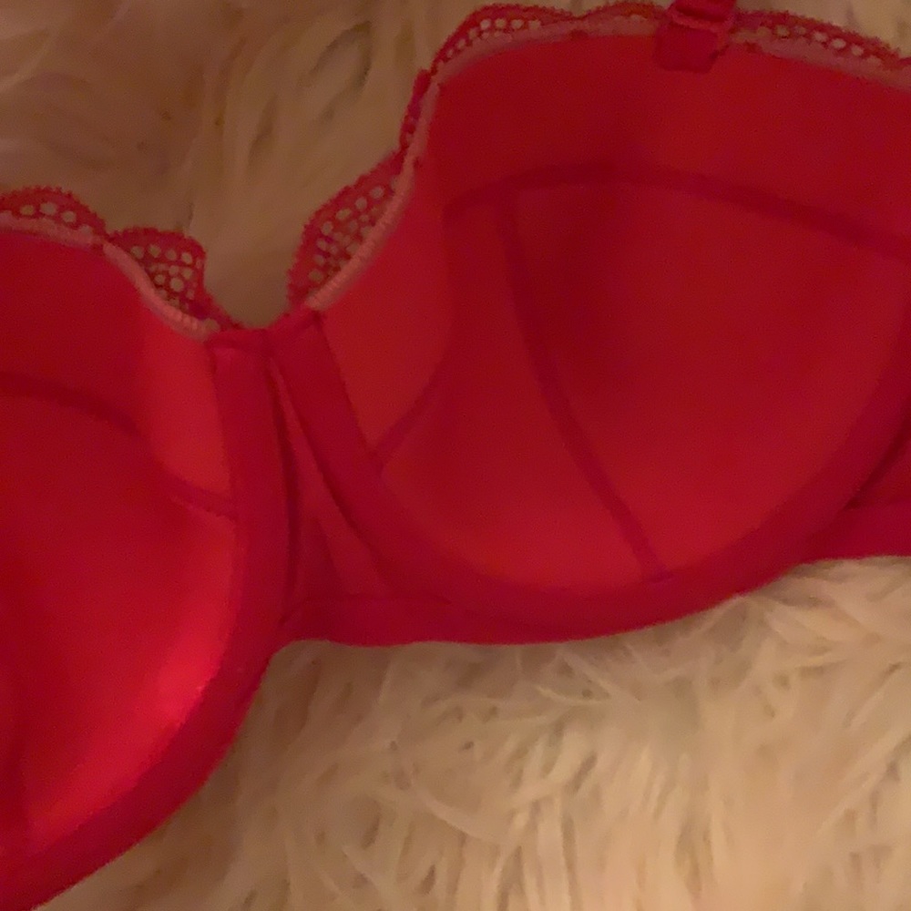 NWT vs bra - Picture 5 of 5